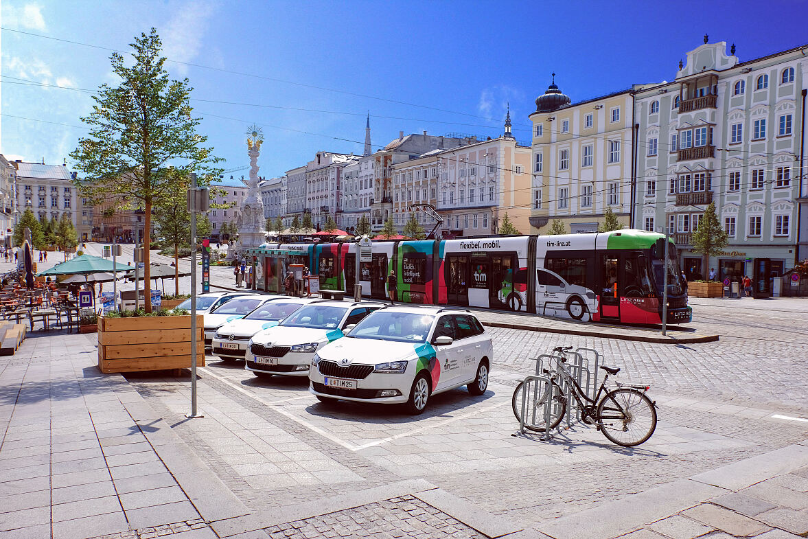 tim-Knoten am Hauptplatz