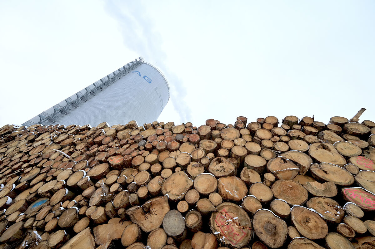 Holzlager im Energiepark 