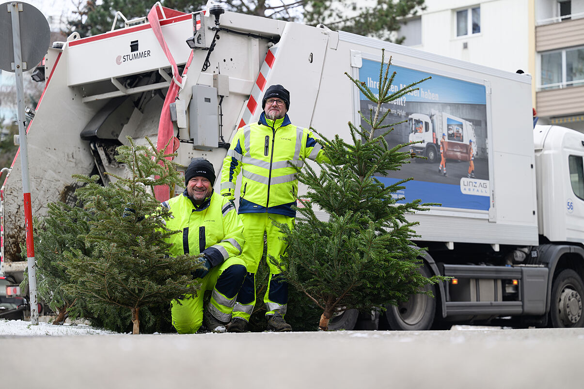 Christbaumentsorgung
